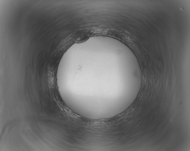 X0000081421154200701120937