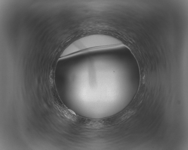 X0000081421156200701120937