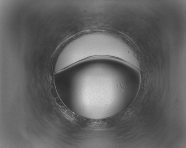 X0000081421160200701120937