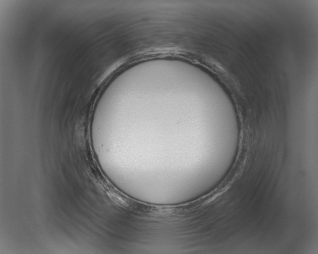 X0000081421162200701120937