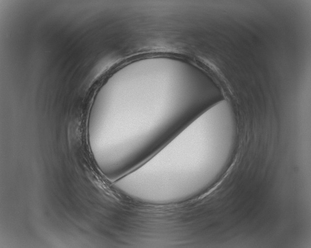 X0000081421163200701120937