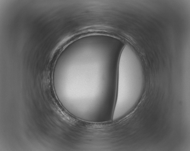X0000081421164200701120937