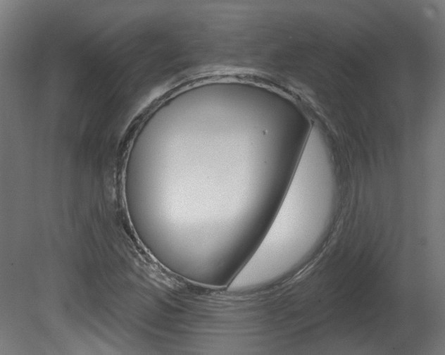 X0000081421165200701120937