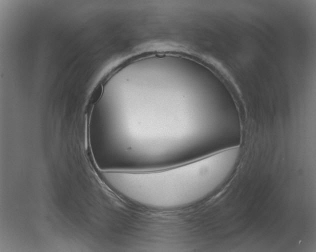 X0000081421175200701120936
