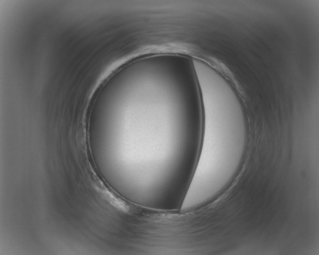 X0000081421184200701120936