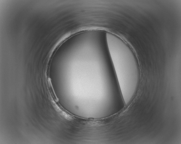 X0000081421189200701120936