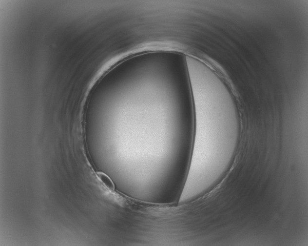 X0000081421192200701120936