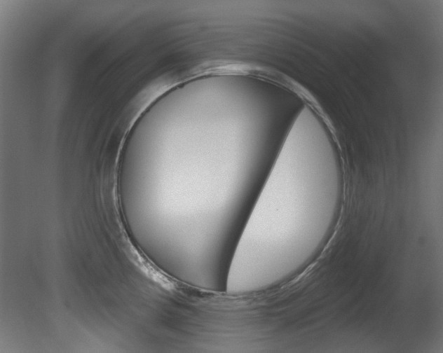X0000081421194200701120936