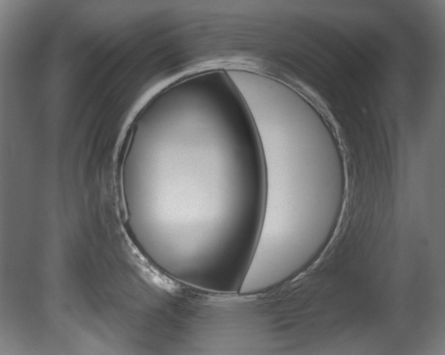 X0000081421200200701120936