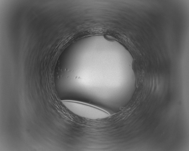 X0000081421201200701120935