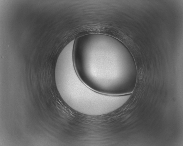 X0000081421202200701120935