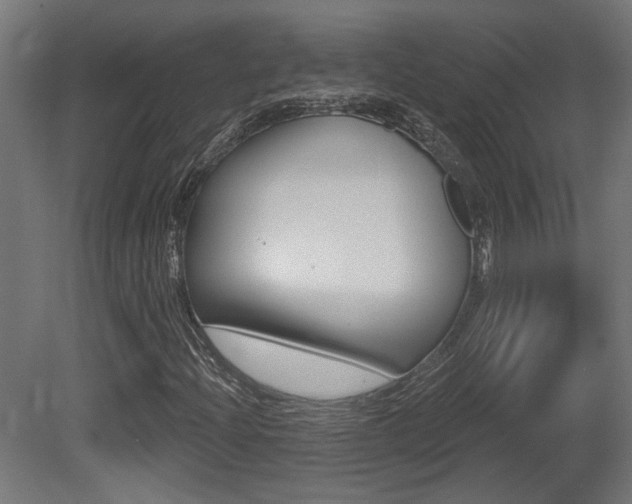 X0000081421204200701120935