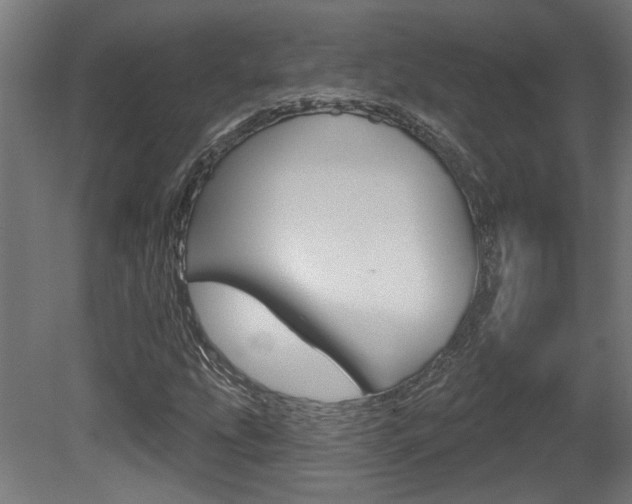 X0000081421207200701120935