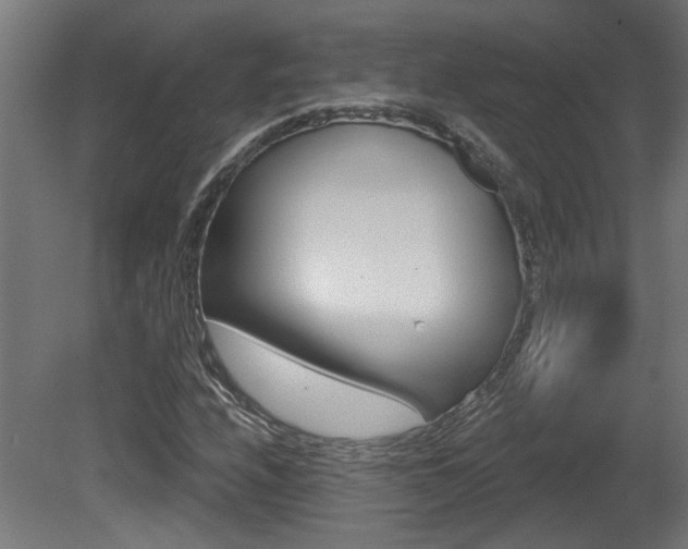 X0000081421208200701120935