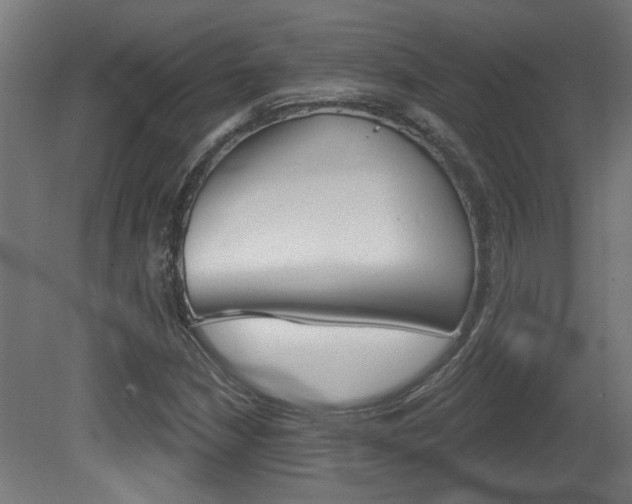 X0000081421210200701120935