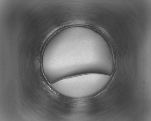 X0000081421212200701120935