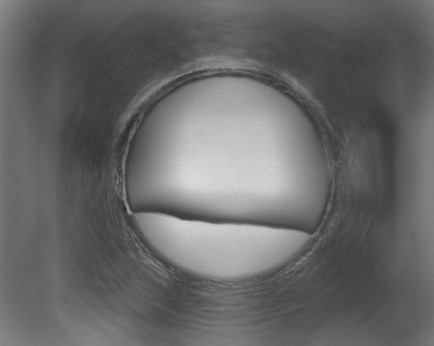 X0000081421215200701120935
