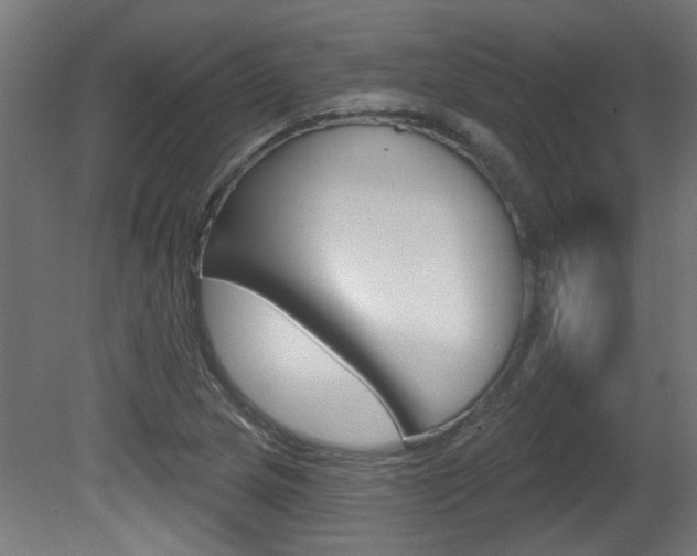X0000081421217200701120935