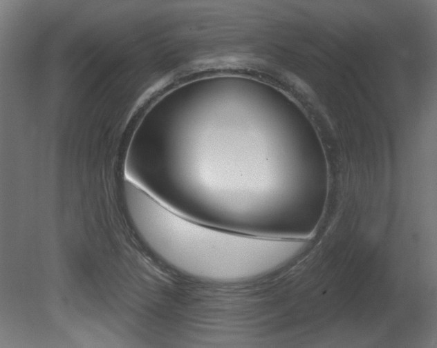 X0000081421218200701120935