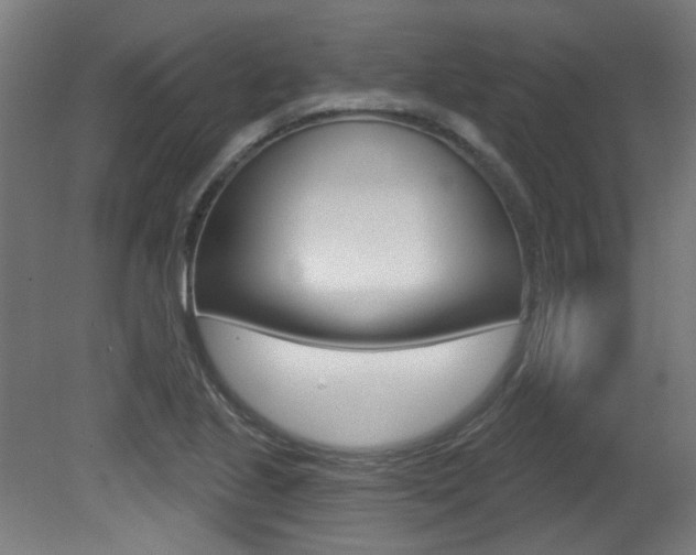 X0000081421221200701120935