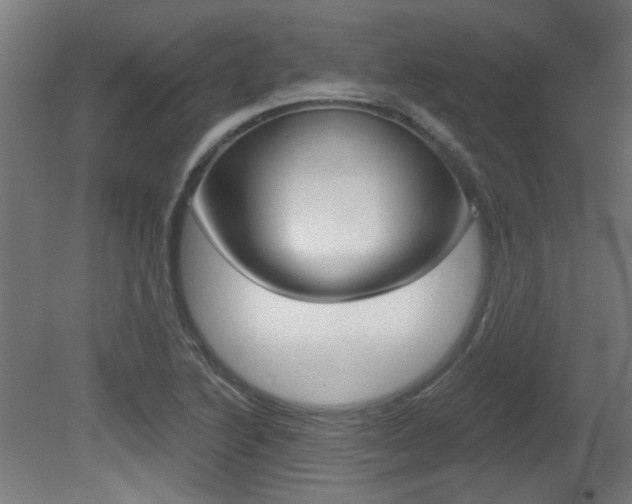 X0000081421222200701120935