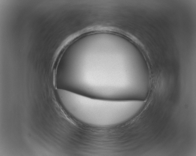 X0000081421223200701120935