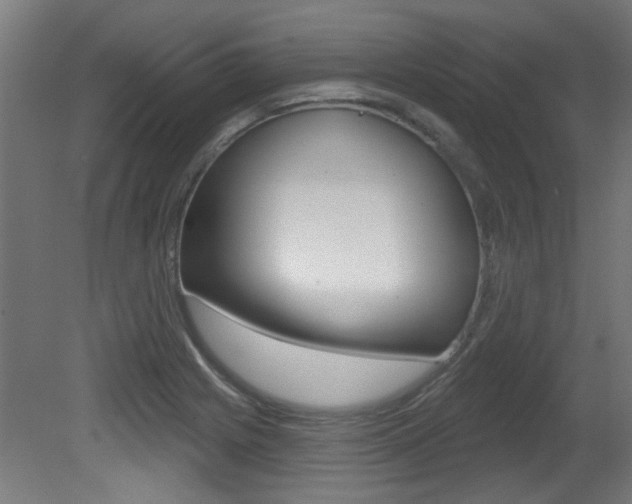 X0000081421225200701120936