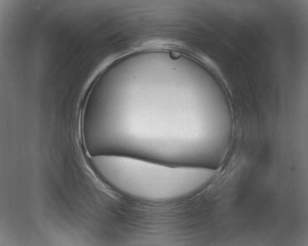 X0000081421227200701120936