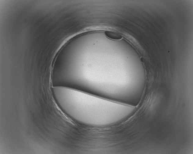 X0000081421228200701120936
