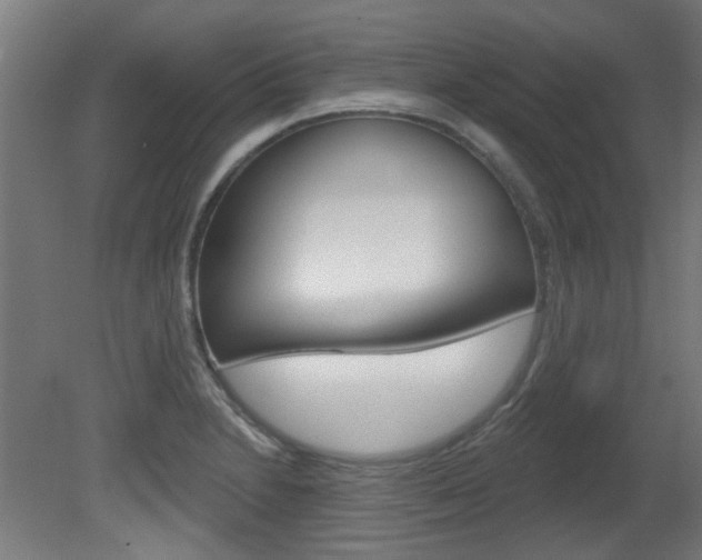 X0000081421230200701120936