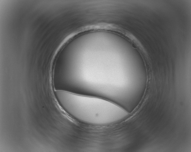 X0000081421232200701120936