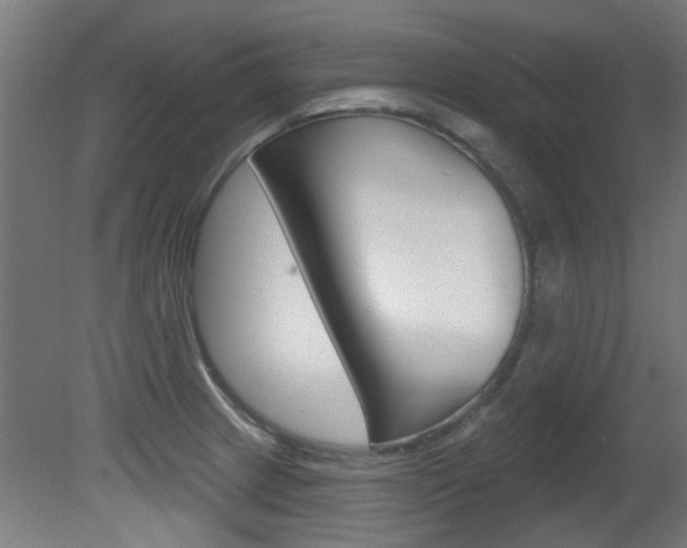 X0000081421233200701120936