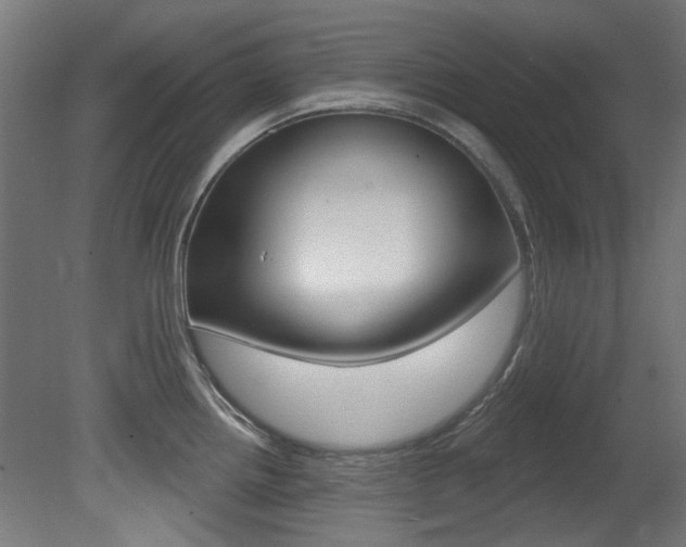 X0000081421242200701120936