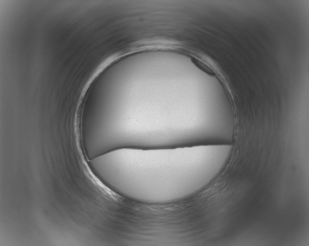 X0000081421243200701120936