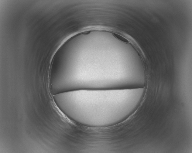 X0000081421244200701120936