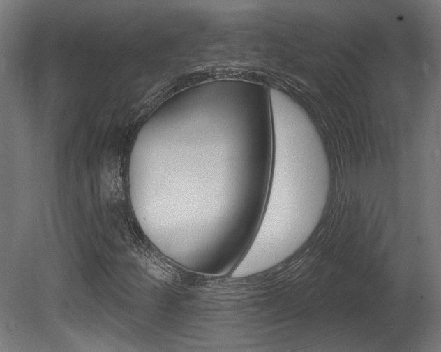 X0000081421252200701120935