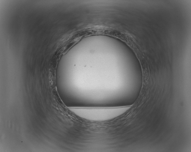 X0000081421253200701120935