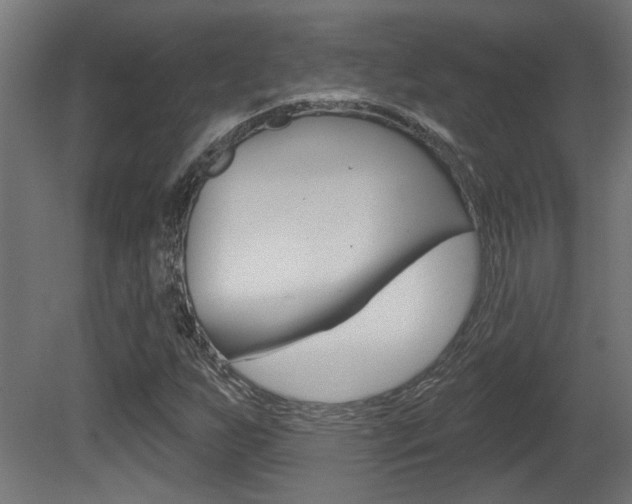 X0000081421255200701120935