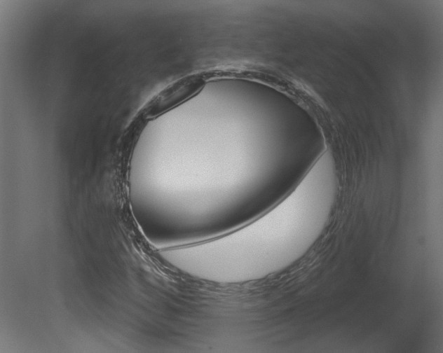 X0000081421256200701120935