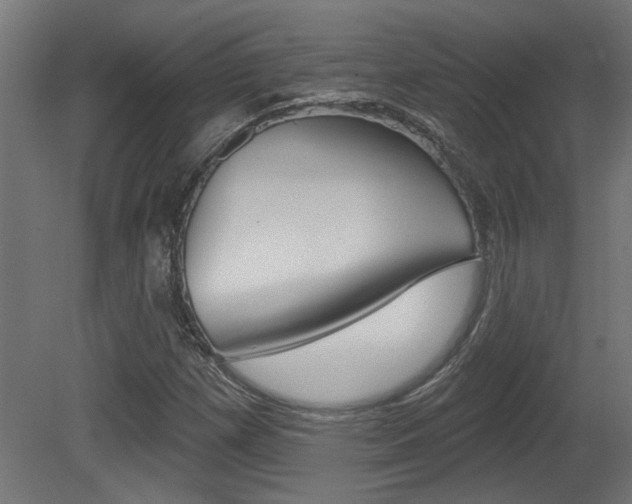 X0000081421257200701120935