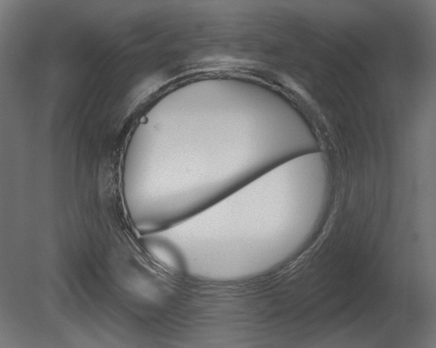 X0000081421259200701120935