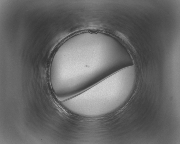 X0000081421260200701120935