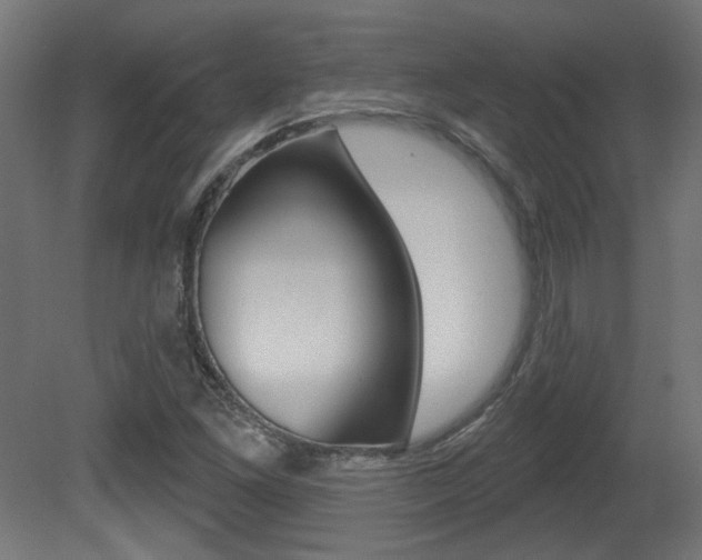 X0000081421261200701120935