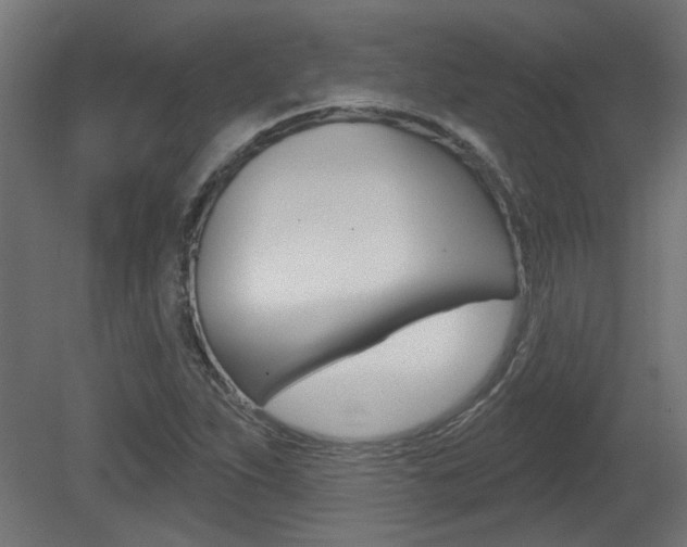 X0000081421263200701120935