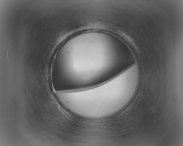 X0000081421264200701120935