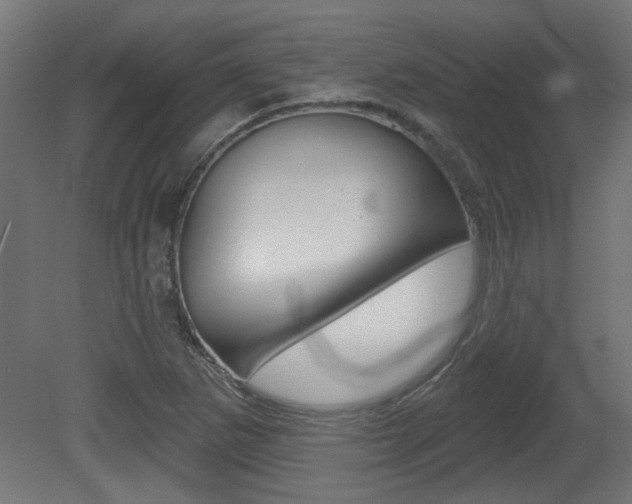 X0000081421265200701120935