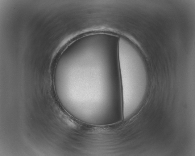 X0000081421270200701120935