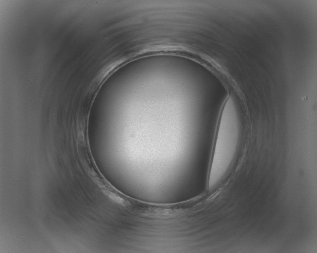 X0000081421273200701120935