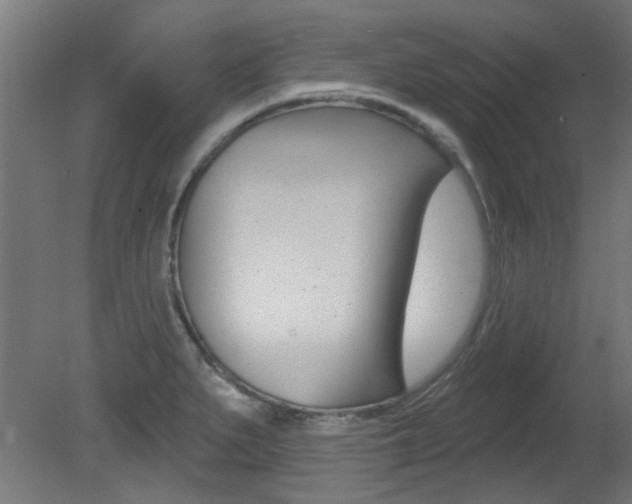X0000081421279200701120935
