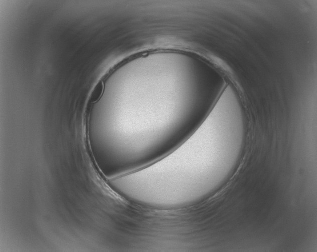 X0000081421280200701120935